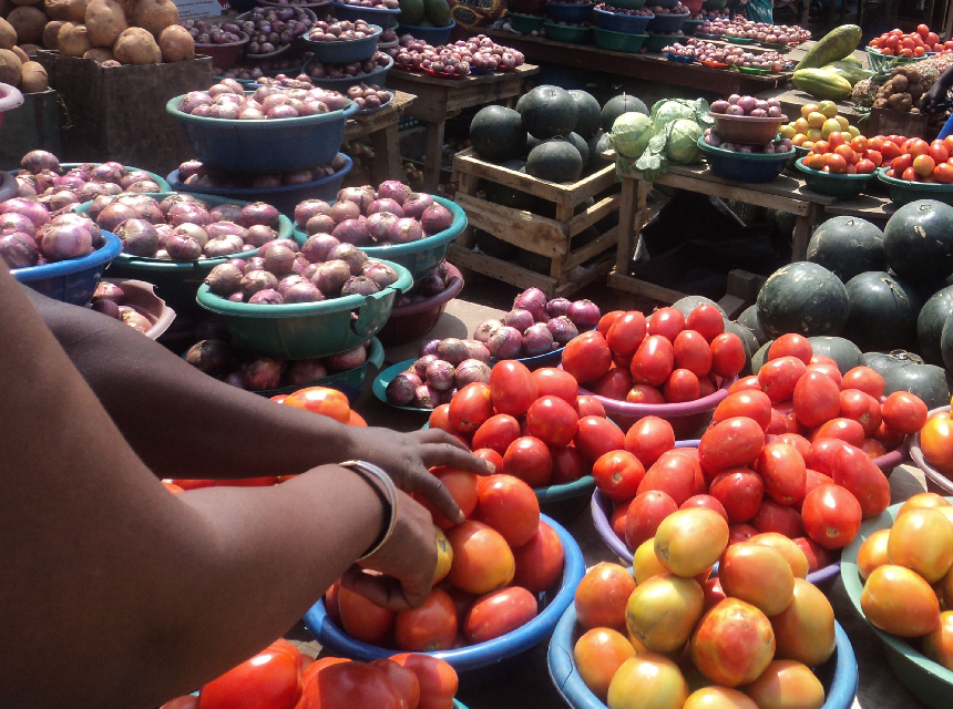Who Can Apply for Micro Business Loans?